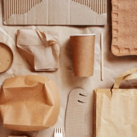 Disposable Packaging 