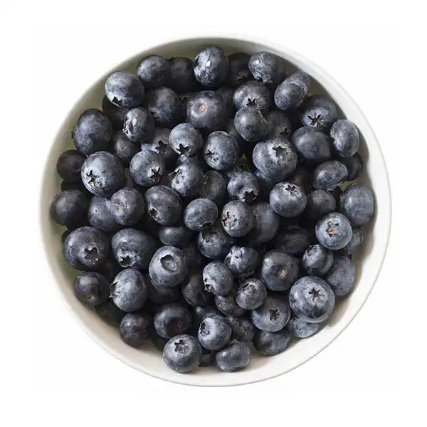 Wild Blueberries (0213p1)