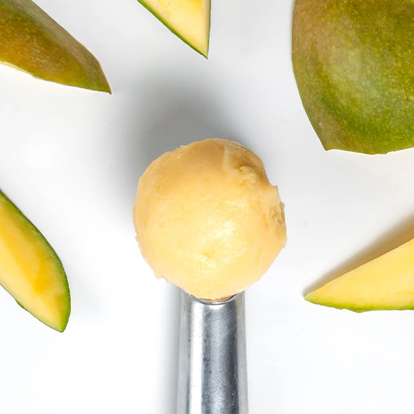 Mango Sorbet (30138p1)
