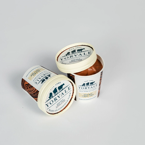 Double Chocolate Chip Ice Cream (30122p2)