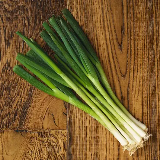 Spring Onions (v1381p1)