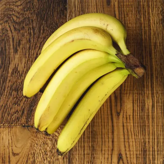 Bananas  (v2921p1)