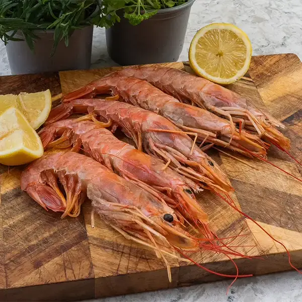 Argentinian Red Shrimp (argentinian-red-shrimpp1)