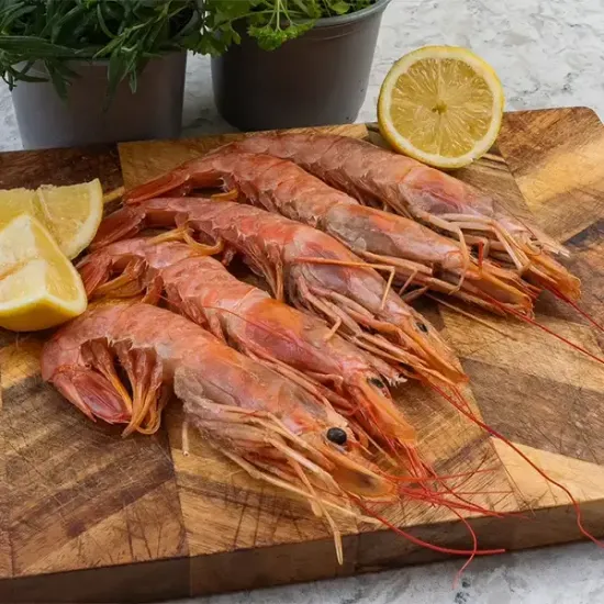 Argentinian Red Shrimp (argentinian-red-shrimpp1)