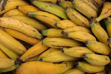 Fresh Produce /Fruit /Bananas