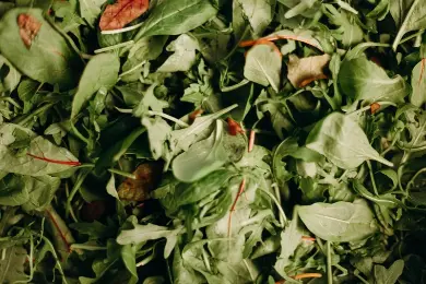 Fresh Produce /Salad /Salads 