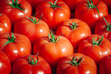 Tomatoes