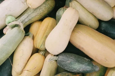 Fresh Produce /Vegetables & Potatoes /Courgettes & Squash 