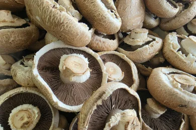 Mushrooms
