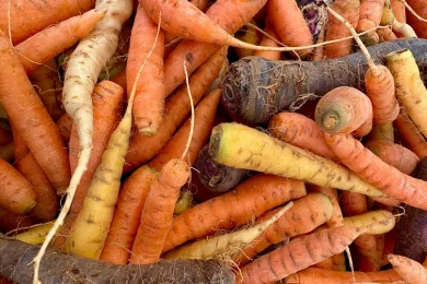 Fresh Produce /Vegetables & Potatoes /Root Vegetables 