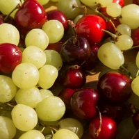 Berries, Cherries & Grapes