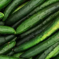 Cucumber