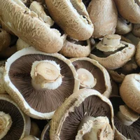 Mushrooms