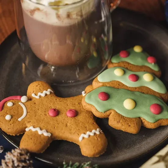 Iced Gingerbread Santa & Xmas Tree (a16092p1)