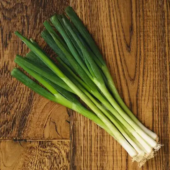 Spring Onions (v2653p1)