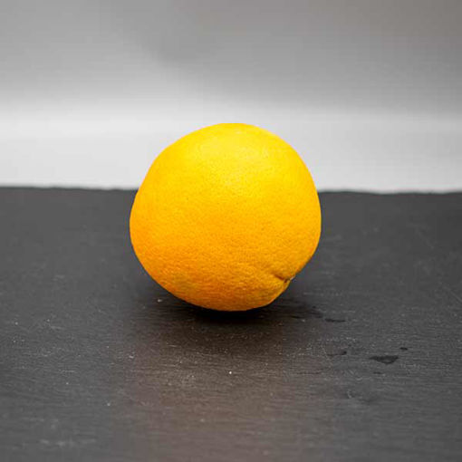 Picture of Large Orange (45)