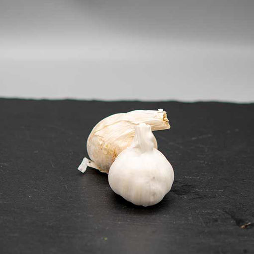 Picture of Garlic Bulbs (60x2 Bulbs)