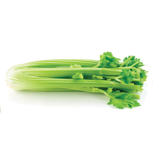 Picture of Fresh Celery (12)