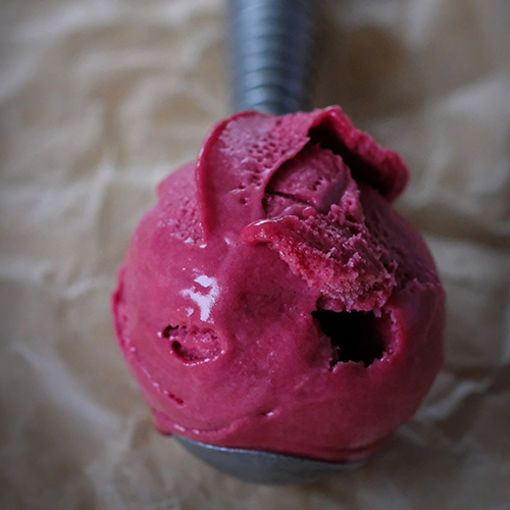 Picture of Blackberry Sorbet (8x2L)
