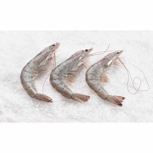 Picture of Whole Raw King Prawns (16/20) (10x1kg)