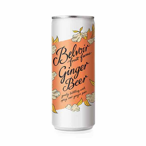 Picture of Ginger Beer (12x25cl)