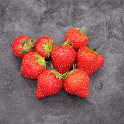 Picture of Fresh Strawberries (16x250g)