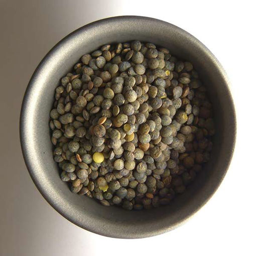Picture of French Green Lentils (10x1kg)