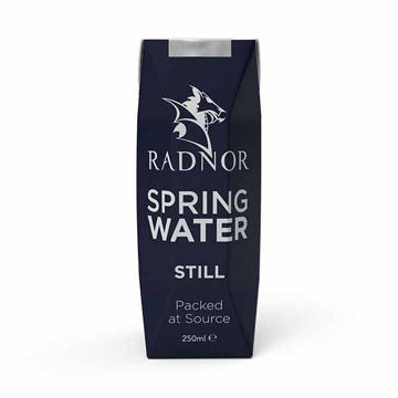 Picture of Radnor Still Spring Water (24x250ml)