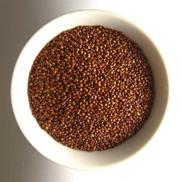 Picture of Centaur Red Quinoa (10x1kg)