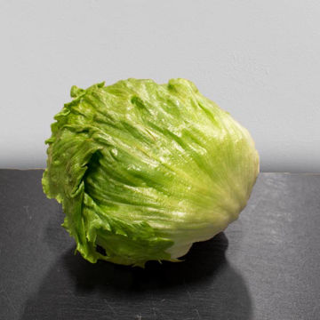 Picture of Pilgrim Fresh Produce Iceberg Lettuce (12)