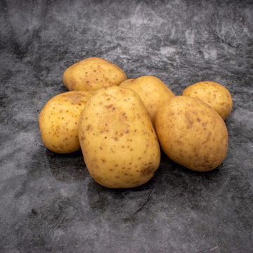 Picture of Tulipland Maris Piper Potatoes (25kg)