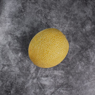 Picture of Pilgrim Fresh Produce Galia Melon (12)
