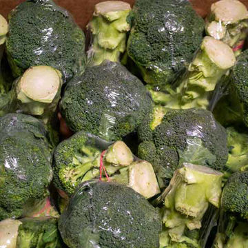 Picture of Pilgrim Fresh Produce Broccoli (6kg)