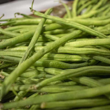 Picture of Pilgrim Fresh Produce Fine Beans (1.5kg)
