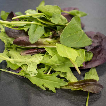 Picture of Pilgrim Fresh Produce Mixed Baby Leaves (8x125g)