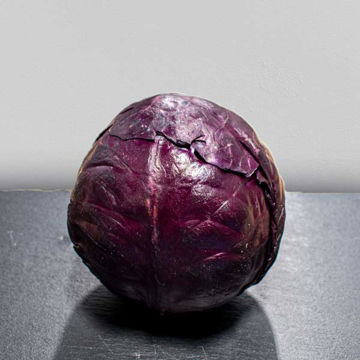 Picture of Leggates Red Cabbage (Avg 1kg )