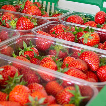 Picture of Fresh Strawberries Punnet (10x250g)