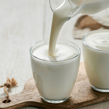 Picture of Green Valley Dairy Buttermilk (5L)
