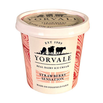 Picture of Yorvale Strawberry Sensation Ice Cream (24x120ml)