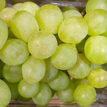 Picture of Pilgrim Fresh Produce Green Grapes (seedless) (10x500g)
