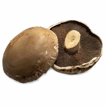 Picture of Pilgrim Fresh Produce Portobello Mushrooms (1.5kg)