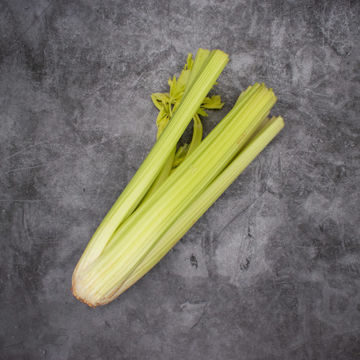 Picture of Pilgrim Fresh Produce Celery (16)