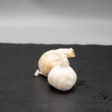 Picture of Pilgrim Fresh Produce Garlic Bulbs (Each)