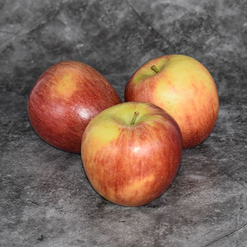 Picture of Pilgrim Fresh Produce Red Braeburn Apples (78)