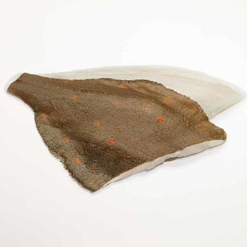 Picture of Van Der Lee IQF Skin-on Plaice Fillets, 6-8oz (4.54kg)