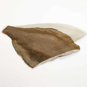 Picture of Van Der Lee IQF Skin-on Plaice Fillets, 8-10oz (4.54kg)