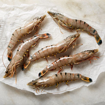 Picture of Arctic Royal Whole Raw King Prawns (10x1kg)