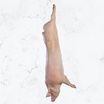Picture of Pork - Whole Pig (Hog Roast), Avg. 50-65kg (Avg 57.5kg )