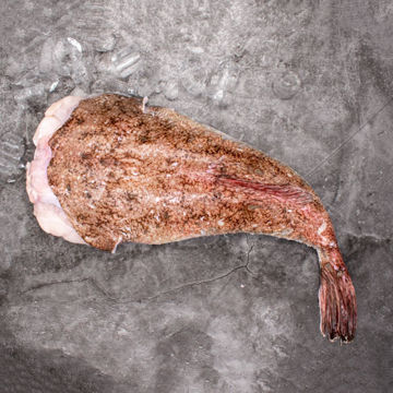 Picture of Moorcroft Seafoods Fresh Monkfish Tail, Avg 3kg (Price per Kg)