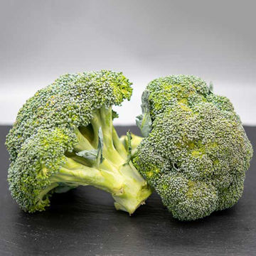 Picture of Pilgrim Fresh Produce Broccoli (Avg 1kg )